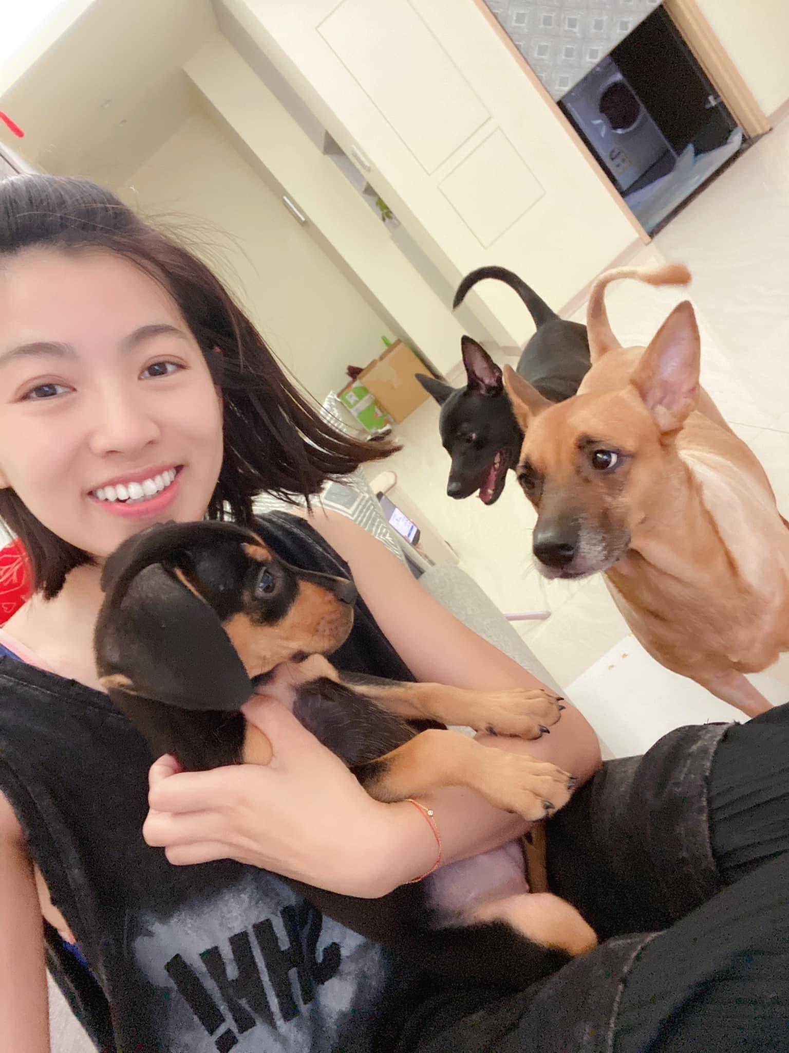 米可白雖然曾有過6年婚姻卻未生育，但她視領養的流浪犬宛如兒女。（圖/翻攝自米可白臉書）
