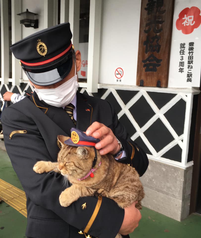 雖然Nya的死因是車禍,但仍有網友認為站務人員應善盡飼養責任。(翻攝自臉書專頁「豊後竹田駅ねこ駅長のニャー」)