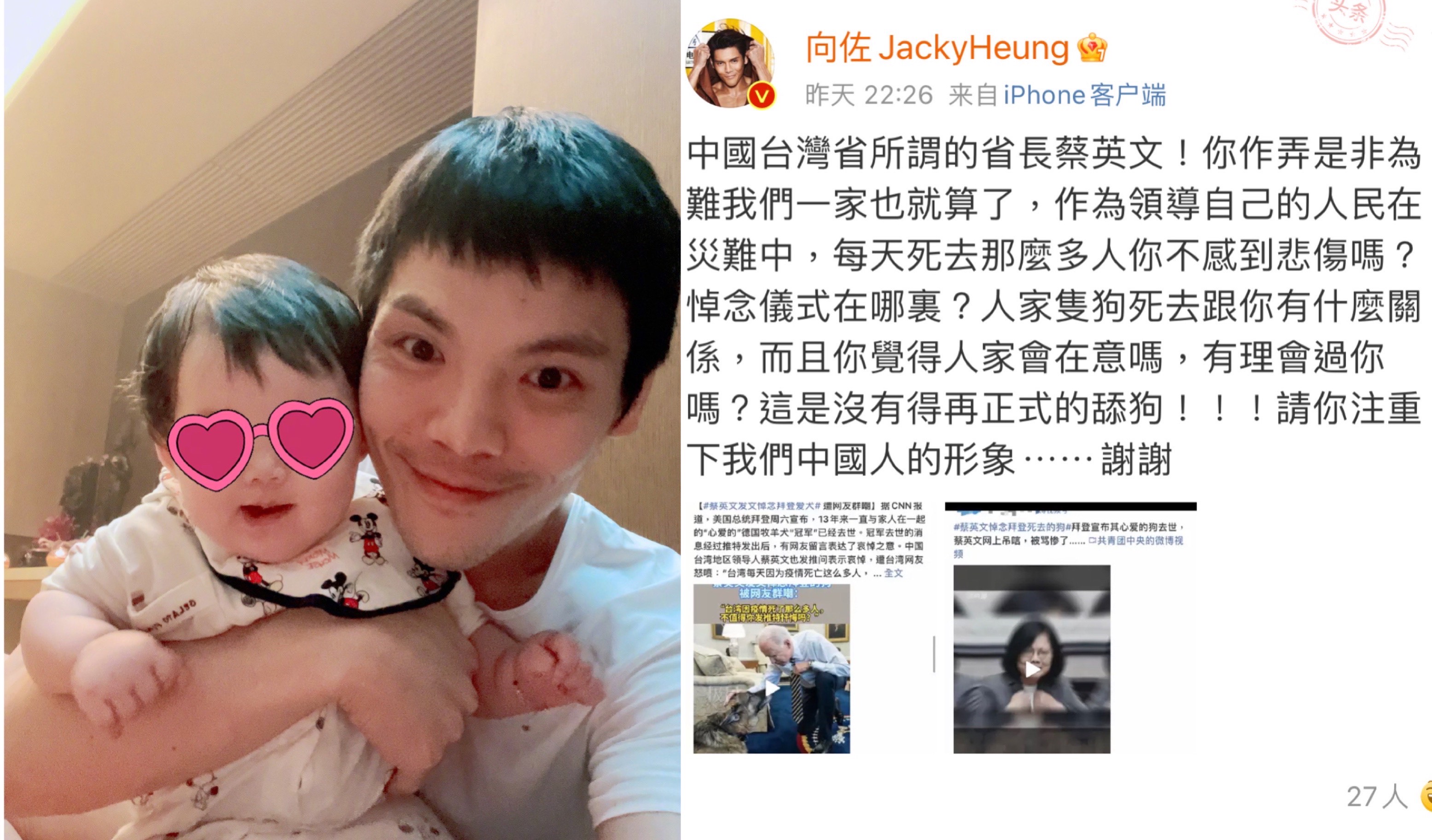 向佐批蔡英文總統毫不手軟。（圖/翻攝自向佐微博）