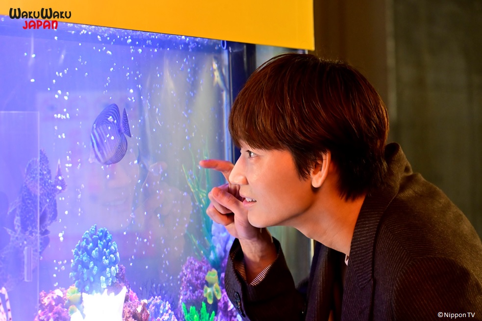 綾野剛與石原聰美主演日劇《深深地戀愛》,浪漫劇情讓觀眾看得心跳加速。(WAKUWAKU JAPAN 提供)