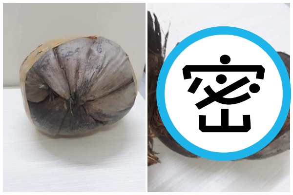 馬來西亞1名買家網購機車零件卻收到1顆椰子。（翻攝自臉書專頁「Raynorton Motorsport」）