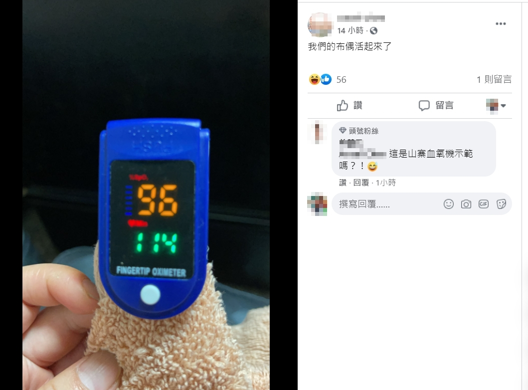 有網友po照表示，自己的布偶竟然「活起來了」。（翻攝自陳志金醫師臉書）