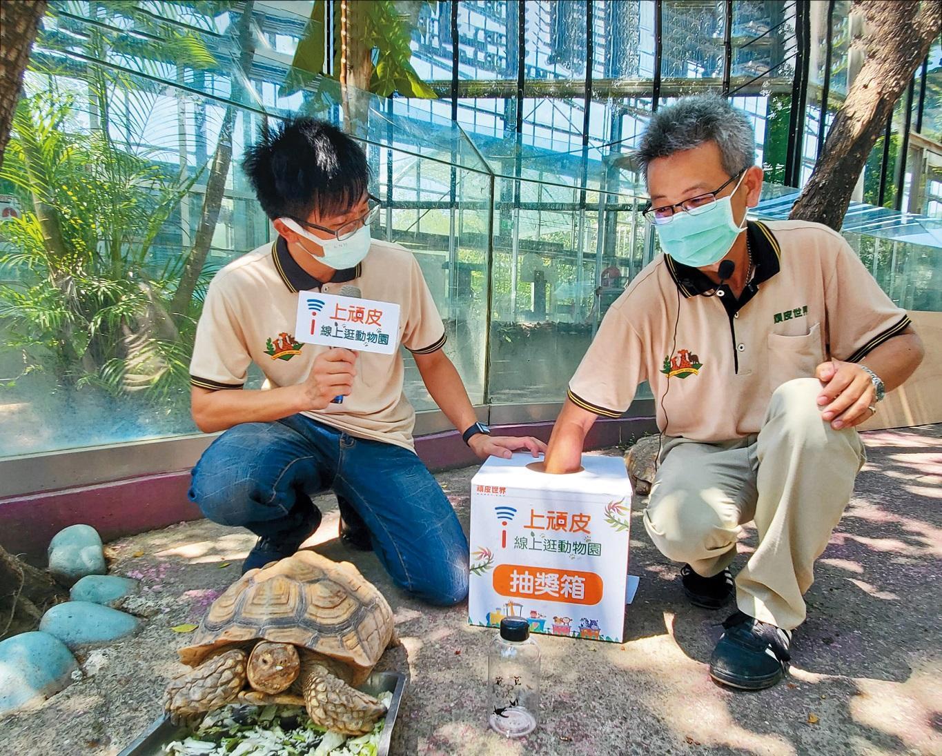 「i上頑皮」直播節目中還辦有獎徵答、送小禮物給粉絲。（頑皮世界野生動物園提供）