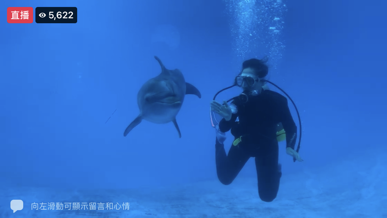 花蓮遠雄海洋公園「線上玩樂園」影片，讓大家能遠距欣賞海豚的可愛模樣。（遠雄海洋公園提供）