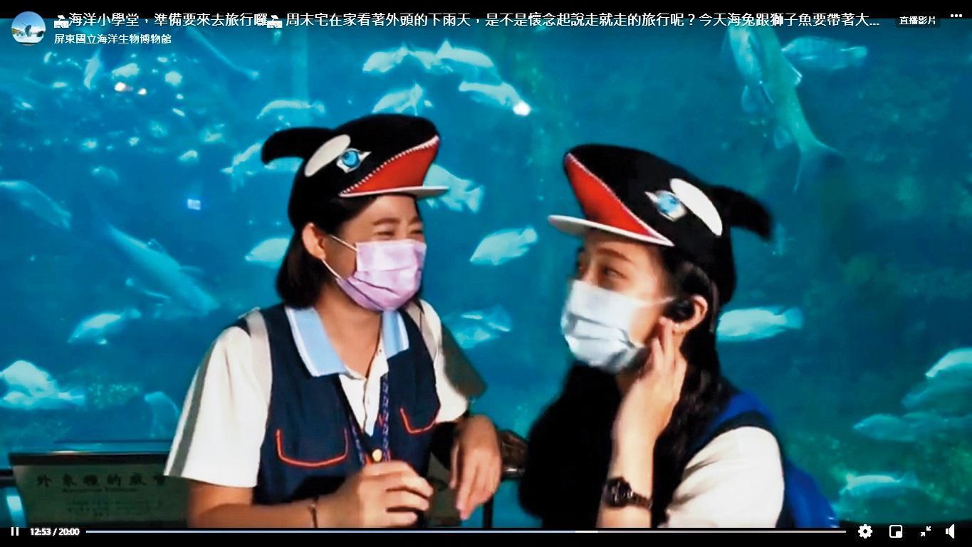 屏東海生館臉書直播節目，主持人海兔與獅子生動活潑的介始，趣味十足。（網路截圖：屏東海生館）