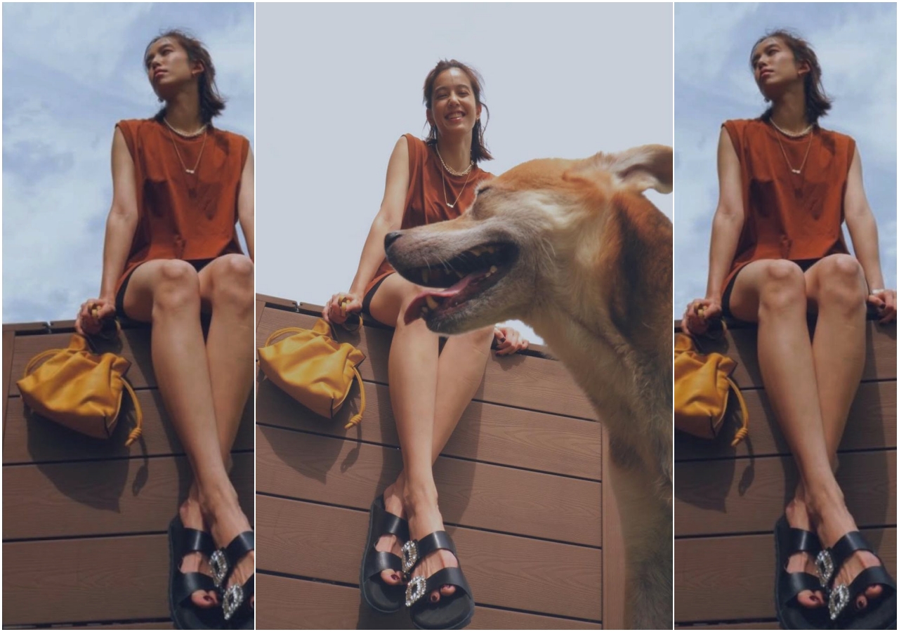陳庭妮以閒適風格的時尚配件在自家樓頂曬太陽，結果愛犬亂入反倒更有效果。Flamenco暖沙色納帕小牛皮大尺寸手拿肩背包NT$88,000（翻攝自陳庭妮IG）