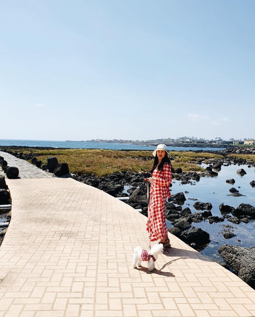 孫藝真最近的生活很愜意，先前還帶狗狗去濟州島旅行。（翻攝自孫藝真Instagram）