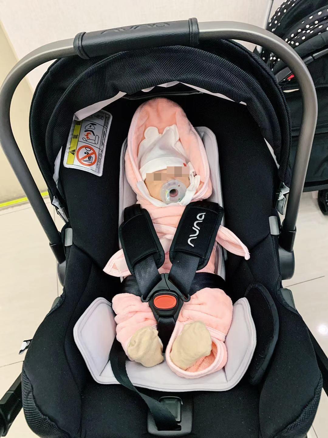 這是倪敏然的小孫女小八。(倪嘉昇提供)