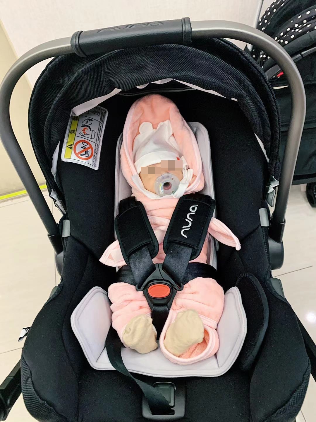 這是倪敏然的小孫女小八。（倪嘉昇提供）