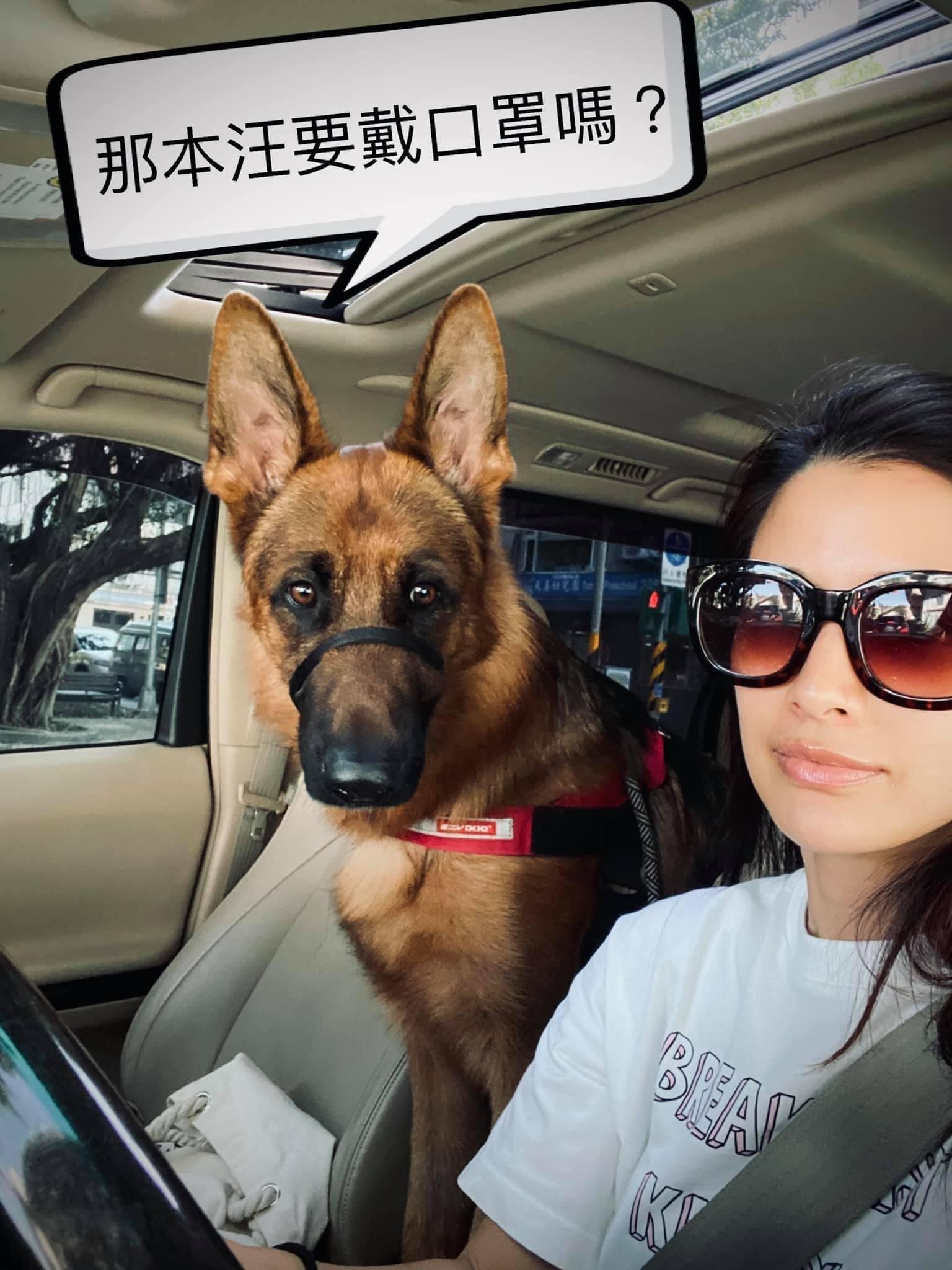 李蒨蓉自曝因為愛犬生病才讓她從負面情緒中拉回現實面。(翻攝自李蒨蓉臉書)