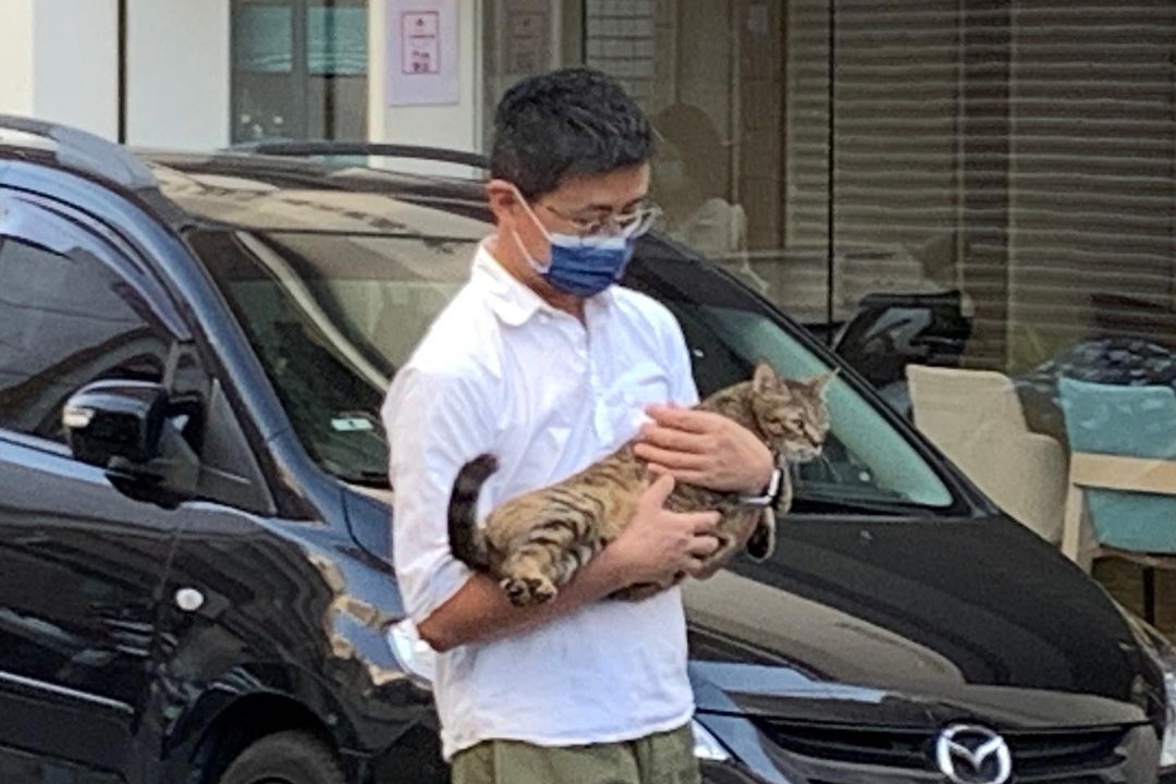 「呱吉」邱威傑也是貓奴的一員,偶爾會被目擊帶貓咪出外溜達。(翻攝自froggychiu IG)
