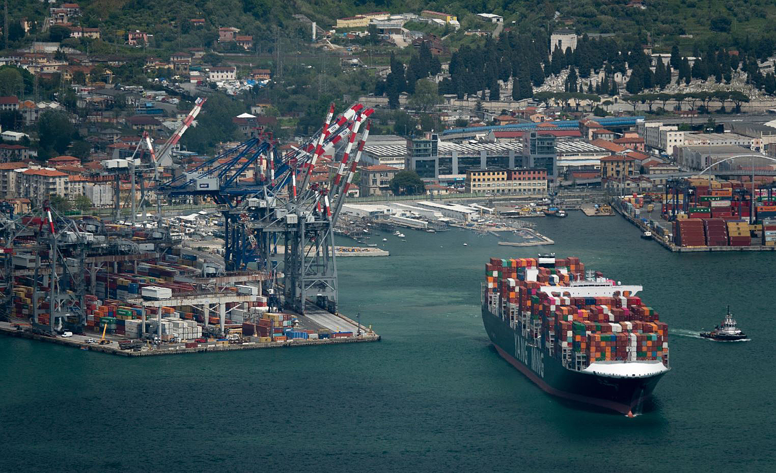 上半年績效出爐，總計有4檔台股ETF打敗大盤，其中富邦臺灣中小因持有航海王，績效大噴發。（翻攝自contship官網）