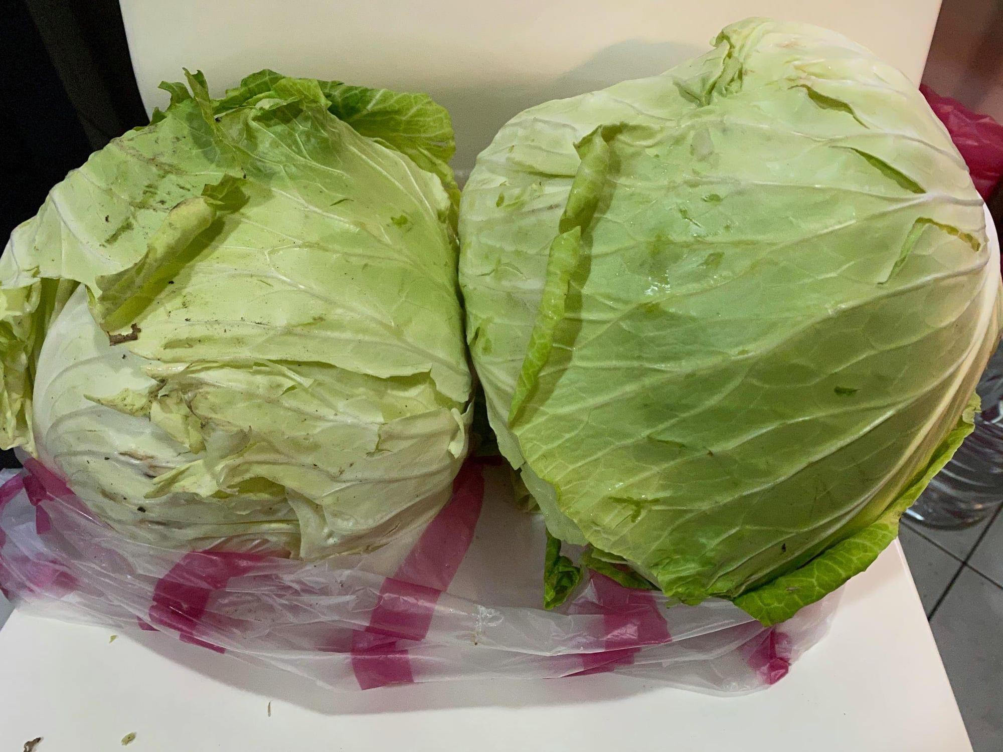 曹西平分享買了2顆高麗菜430元，感嘆「我只是想吃個青菜而已，真實的生活好像很困難啊」。（翻攝自曹西平的粉絲愛團臉書）