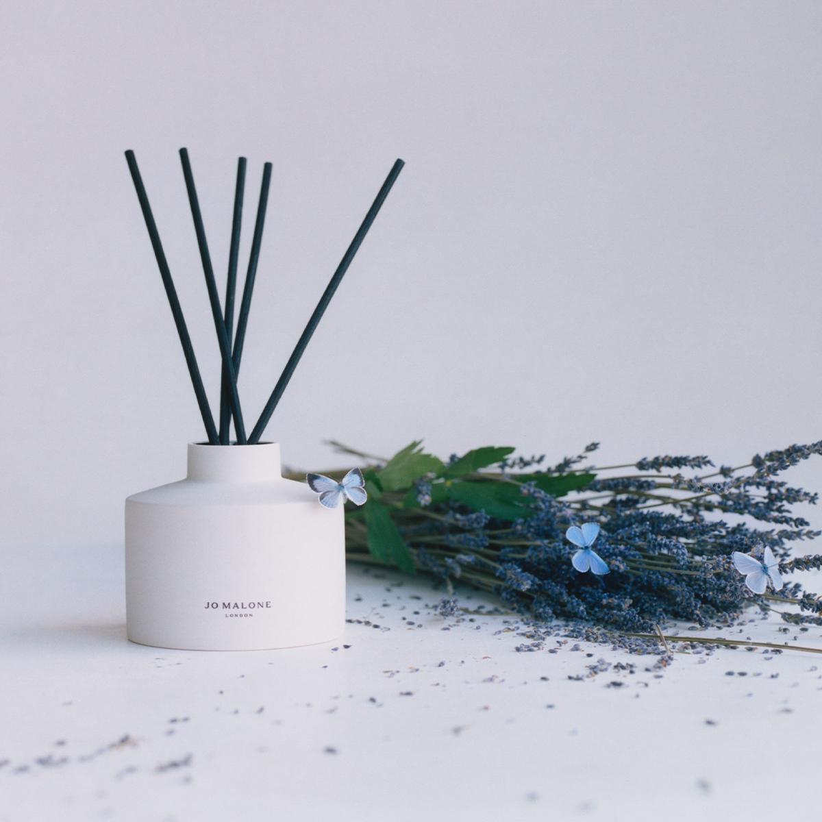 Townhouse紫色薰衣草與獨活草擴香 (Lilac Lavender & Lovage Diffuser) 。350ml/NT$7,150(Jo Malone London提供)