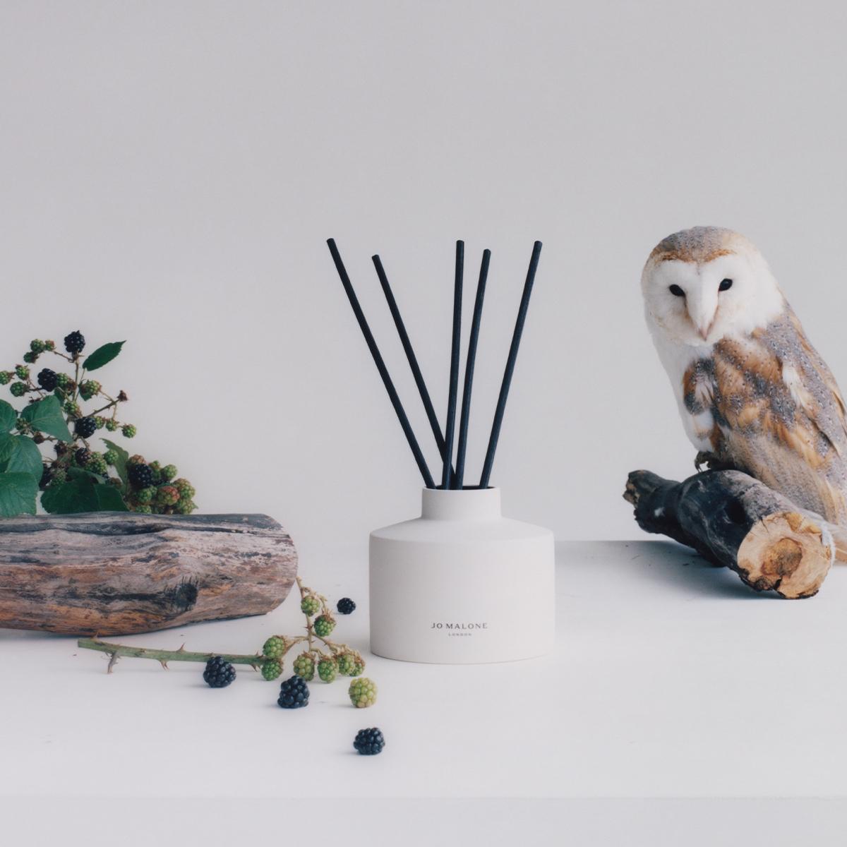 Townhouse野莓與歐洲黑莓擴香 ( Wild Berry & Bramble Diffuser)。350ml/NT$7,150(Jo Malone London提供)