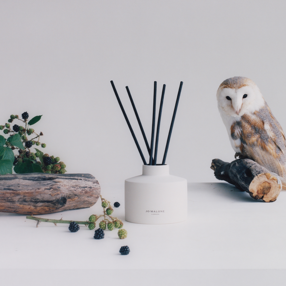 Townhouse野莓與歐洲黑莓擴香 ( Wild Berry & Bramble Diffuser)。350ml／NT$7,150（Jo Malone London提供）