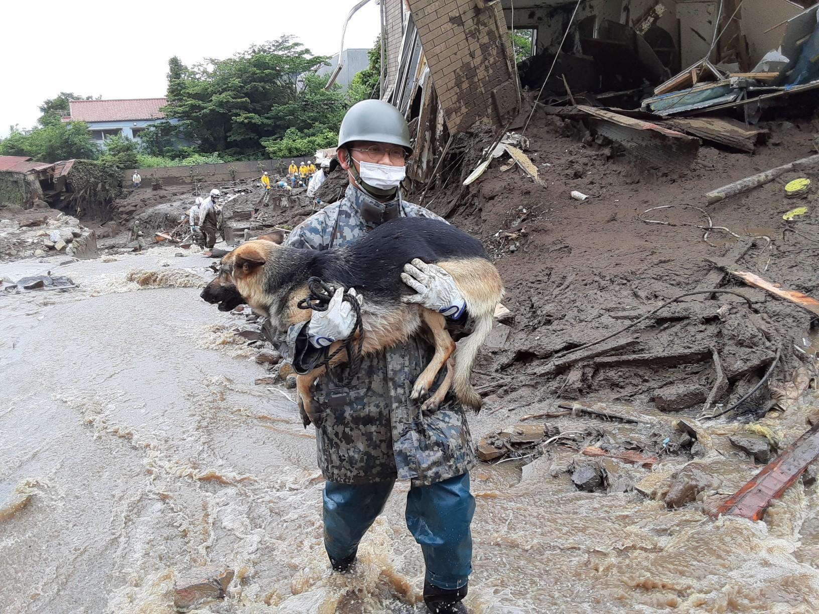 領犬員將搜救犬一把抱起,避免狗狗的腳受到太多傷害。(翻攝自@JASDFhamamatsu推特)