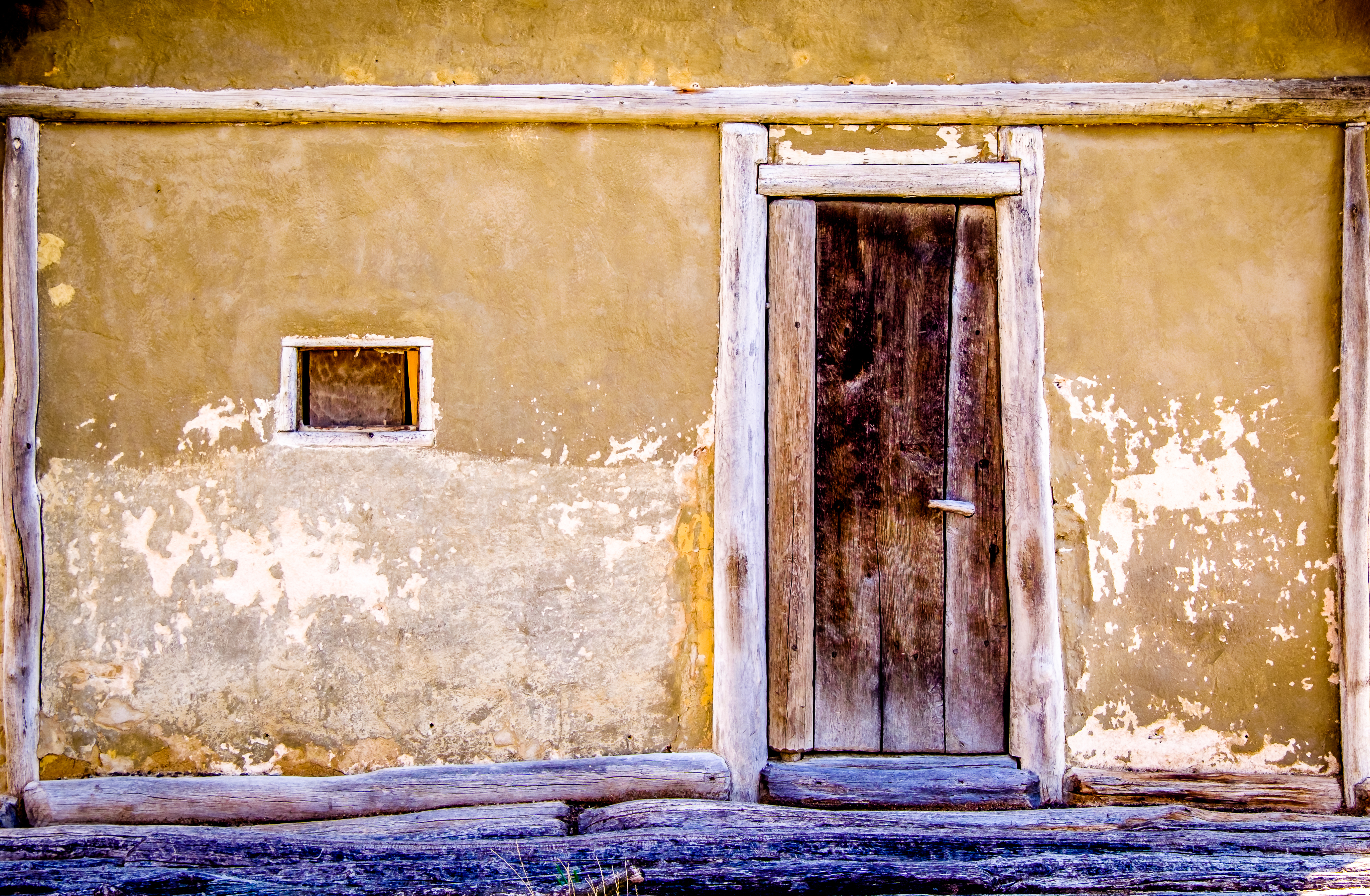 （Shutterstock提供）