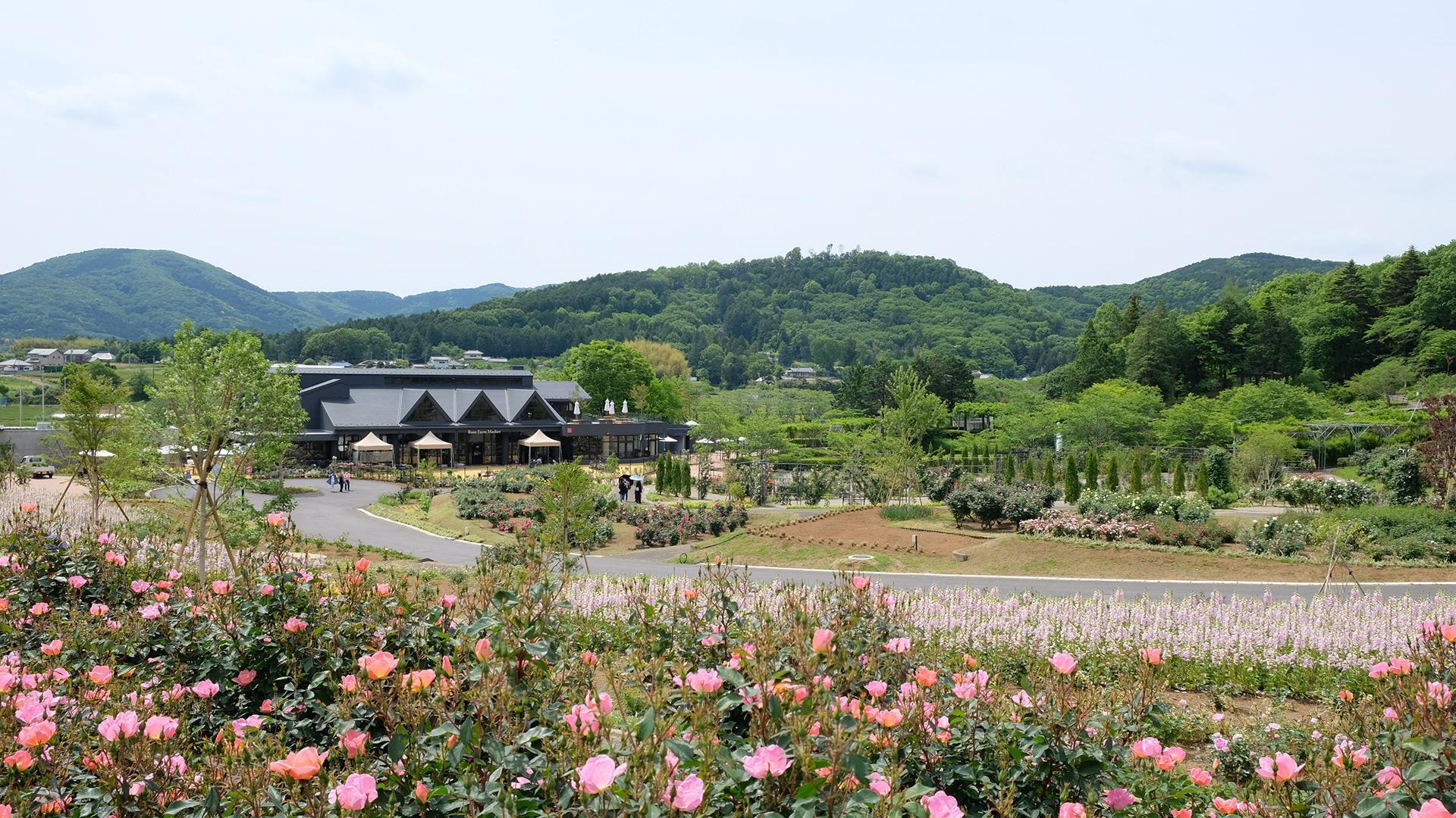 茨城縣花卉公園以五感為全新體驗。(茨城縣觀光物產協會提供 )