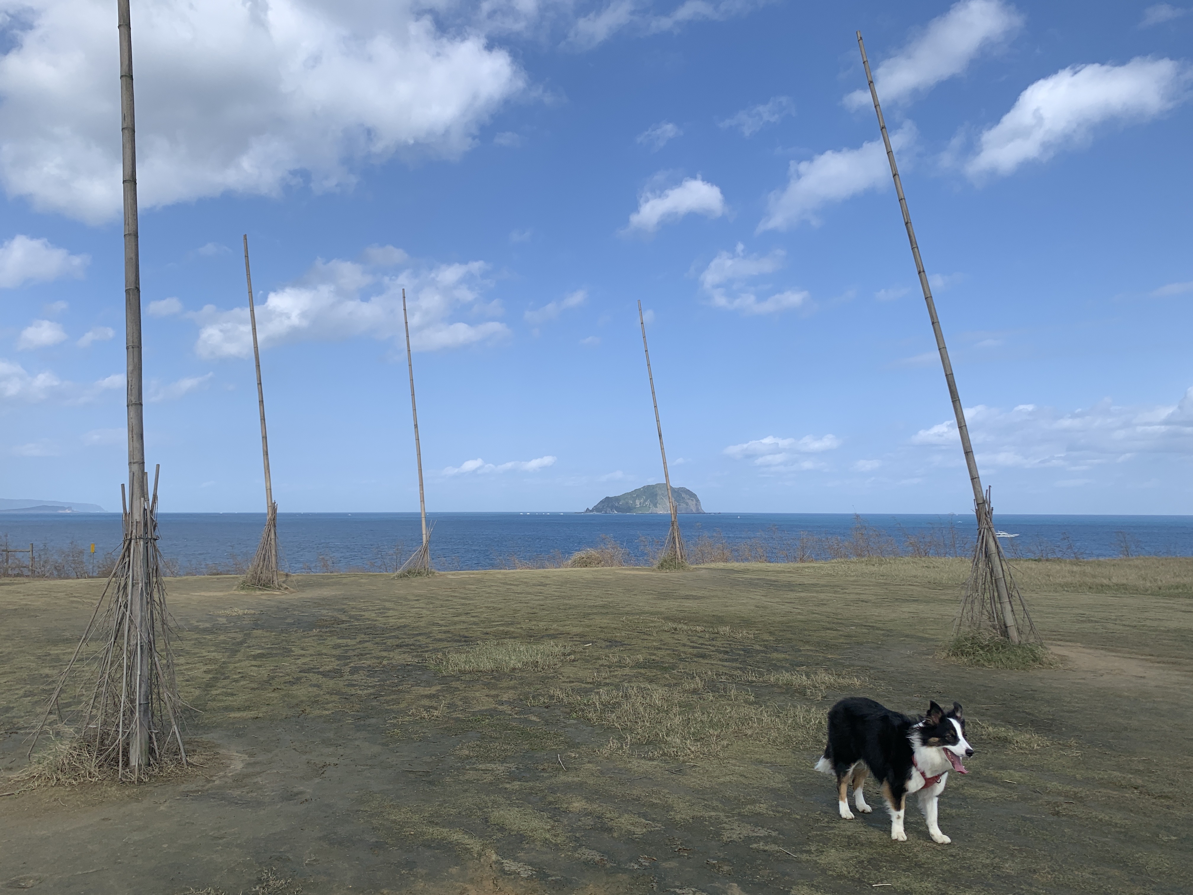 國內三級警戒確定延長至7月26日，12日起實施「最新防疫指引」風景區在有條件下逐步開放。示意圖。（讀者提供）