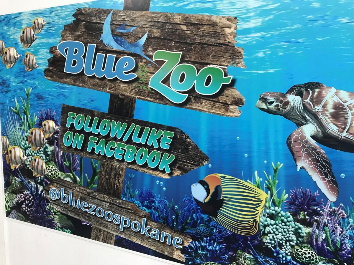 藍色動物園水族館是當地頗具代表性的景點。（翻攝藍色動物園水族館臉書）