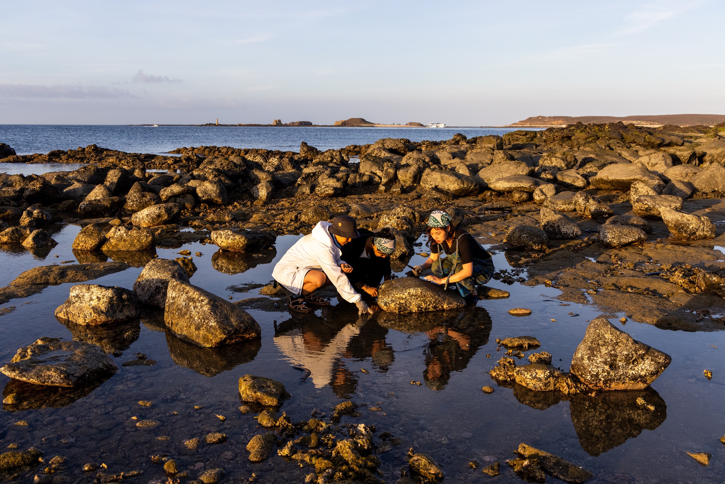 穿著草鞋蹲在潮間帶，水中有各種生物值得仔細觀賞。