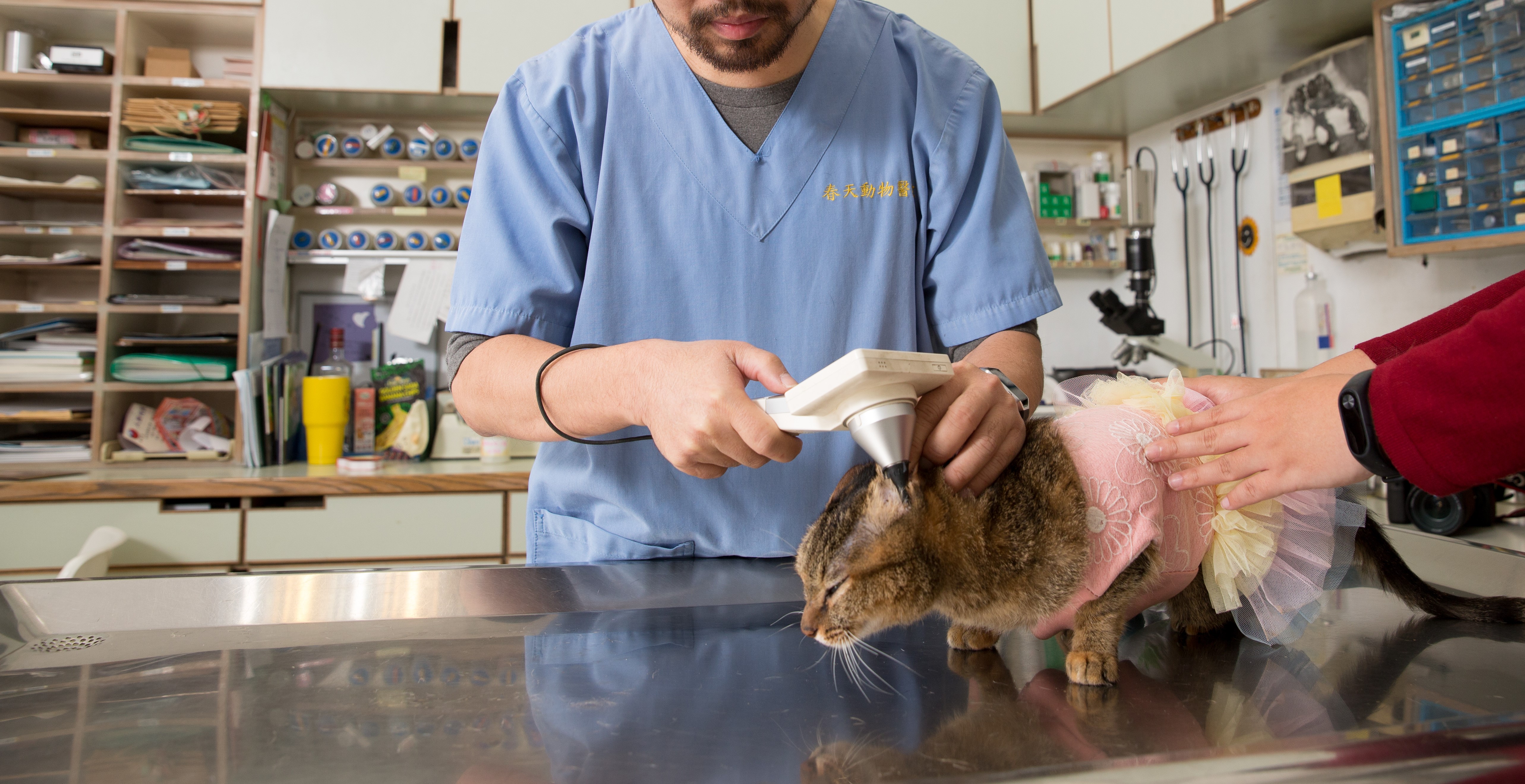 台北市開第一槍，明起將未被中央列入的臨床執業獸醫師、助理列入疫苗接種名單。（資料照）