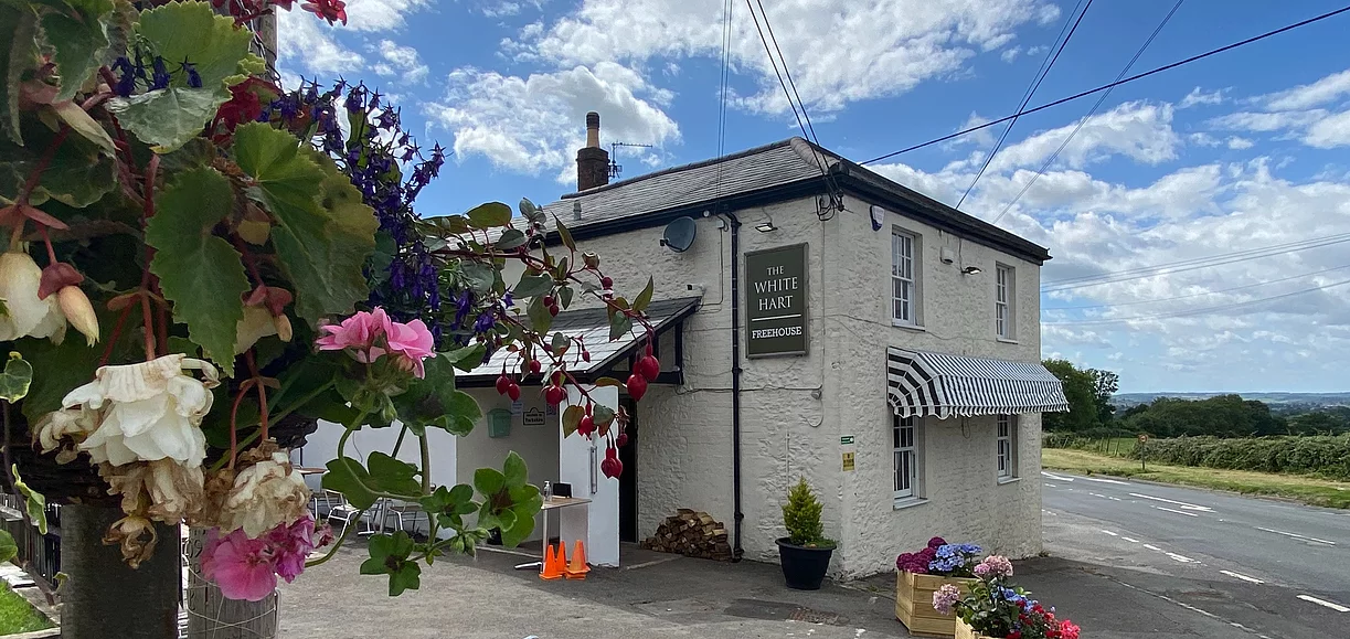 位於英國郊區的白鹿酒吧外觀小巧悠閒，但據店家表示，店內卻住著一個常惡作劇的老幽靈。（翻攝White Hard Pub官網）