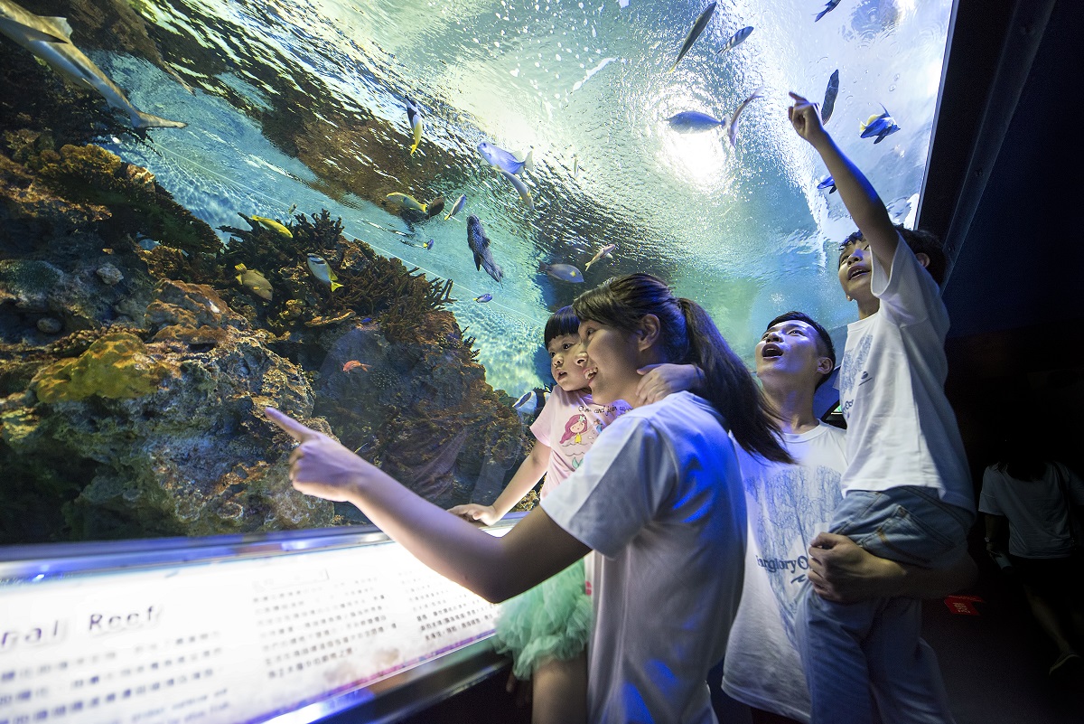 遠雄海洋公園入園採用電子化票閘設備。（遠雄海洋公園提供）