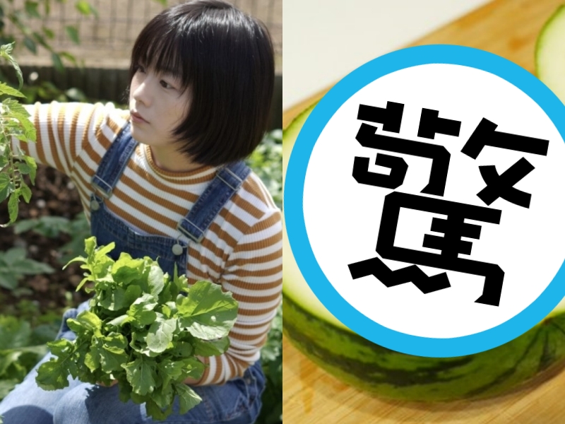 日本一位正妹作家最近開始農婦生活，也種了西瓜。（翻攝自fujiokaminami推特、magazine.cainz）