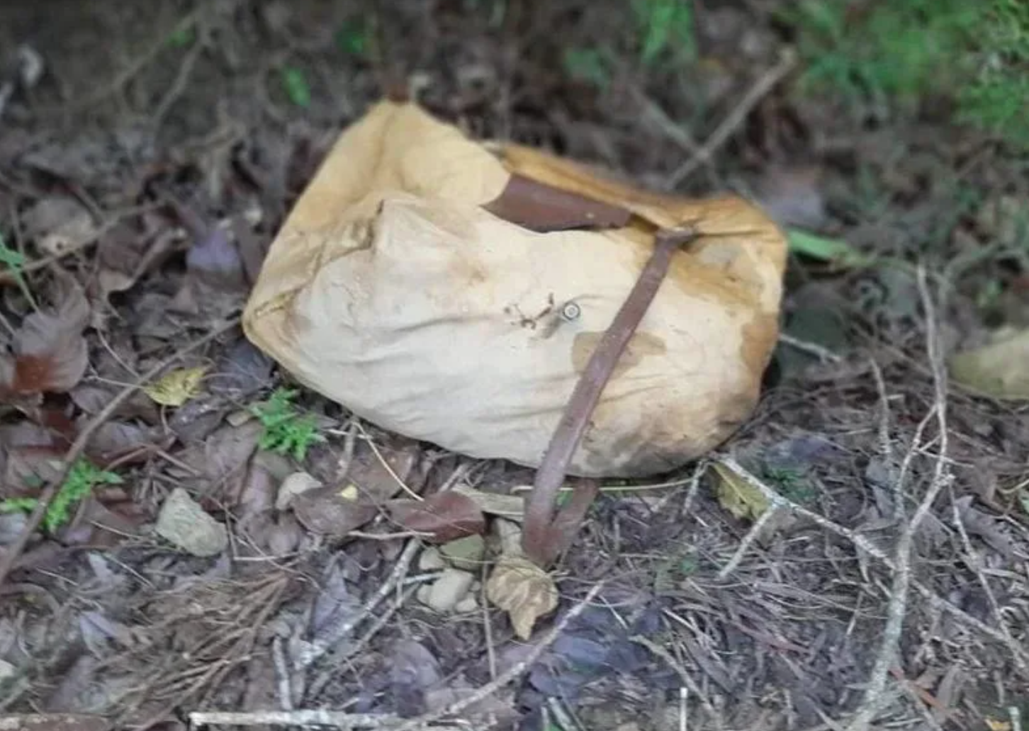 警消發現教授遺落的物品。(翻攝畫面)