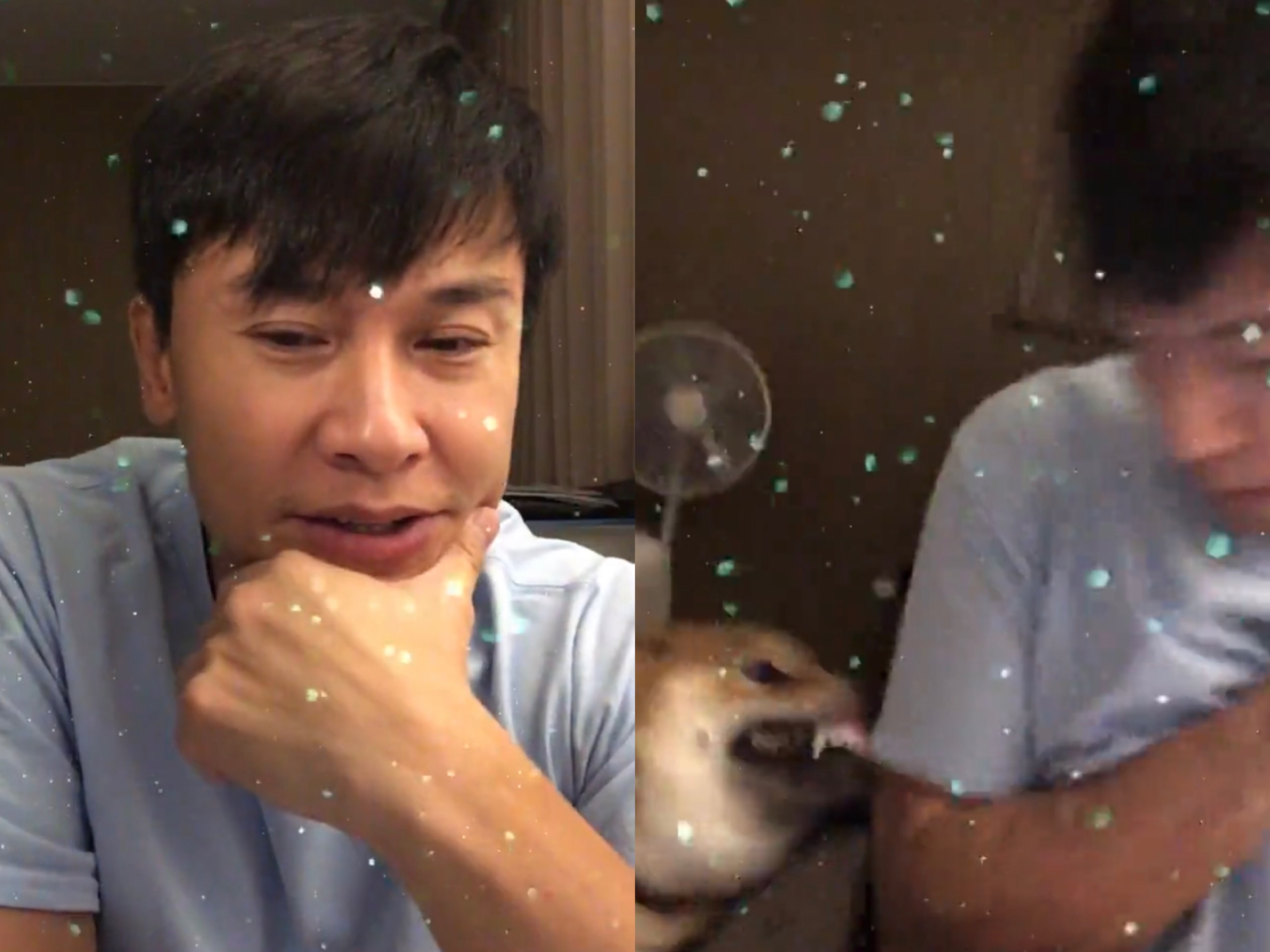 王建復直播與粉絲互動，卻遭到一旁愛犬咬傷。（圖/翻攝自王建復IG）