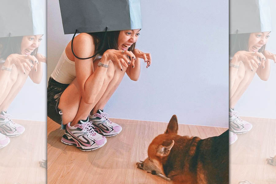 陳庭妮頭套紙袋，還以為是什新防護妙招？原來想嚇狗女兒，她說：「一成不變的生活裡要有點樂趣啊！」（翻攝自陳庭妮IG）