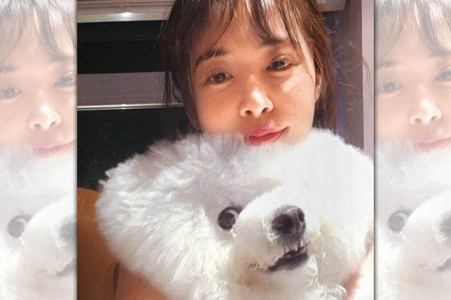 蔡依林（後）抱著屋虎（前），屋虎12歲了，已經是老奶奶了，顏值保養得非常好呢！（翻攝自蔡依林IG）