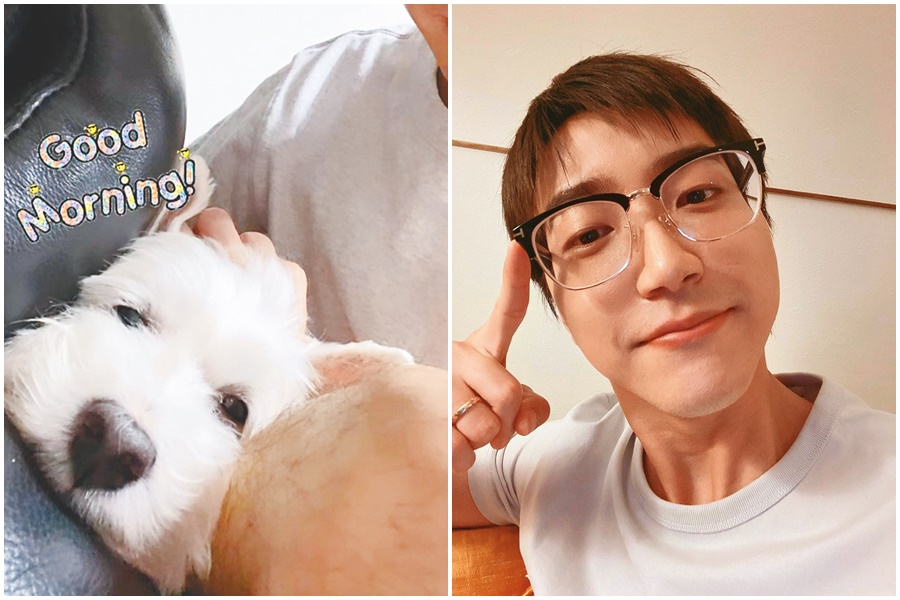 江宏傑恢單後的第一個早晨，摸著毛小孩的頭報平安。是說小編毛也不少，可以代替牠讓小傑摸頭秀秀。（推開狗）（翻攝自江宏傑IG）