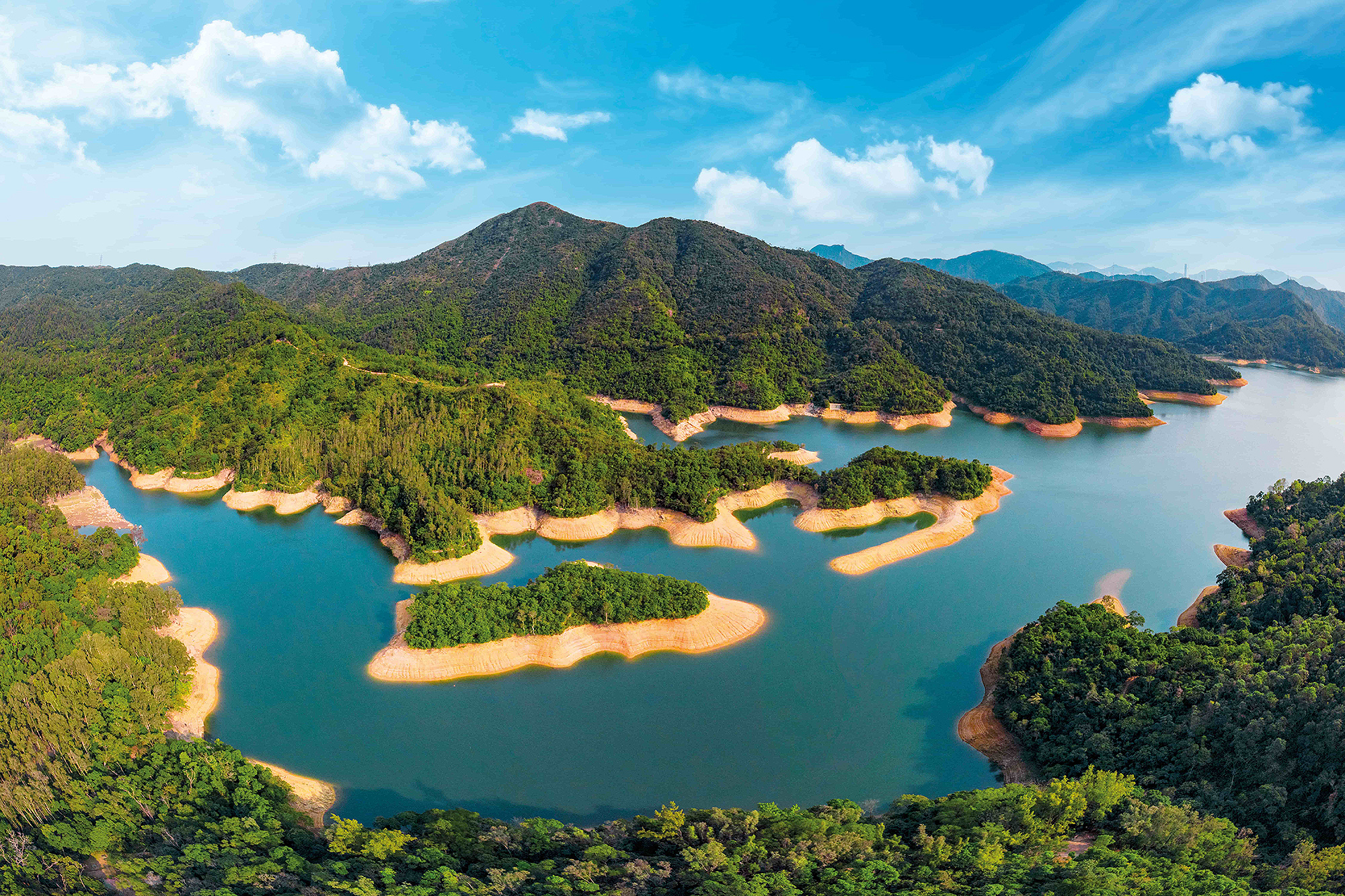位於城門水塘的白千層樹林風景如畫。（香港旅遊發展局提供）