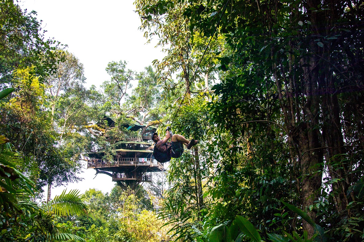 這座全世界最大的樹屋有35公尺高，約4至5層樓，層層交疊。