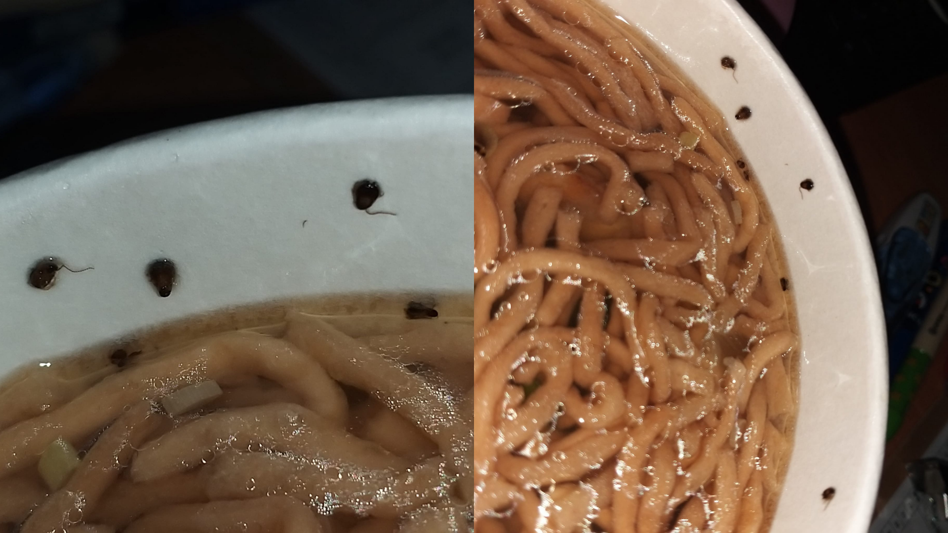 原PO發現黑胡椒長出觸鬚,近看才發現是蟑螂。(翻攝自臉書社團「爆料公社」)