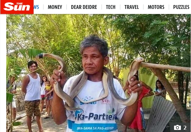 自稱對蛇類毒液免疫的阿爾瓦雷斯，遭咬後當場身亡。（翻攝《太陽報》Sun News）
