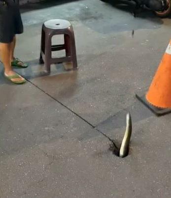 消息傳開後，現在會有人四處找「排氣孔洞」，將魚餌及釣線從孔洞中垂下釣魚。（翻攝畫面）