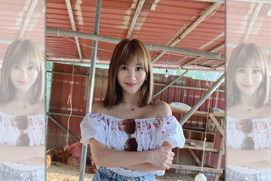 王宥忻將苗栗農場的放山雞帶回台北，養在自家陽台。（王宥忻提供）