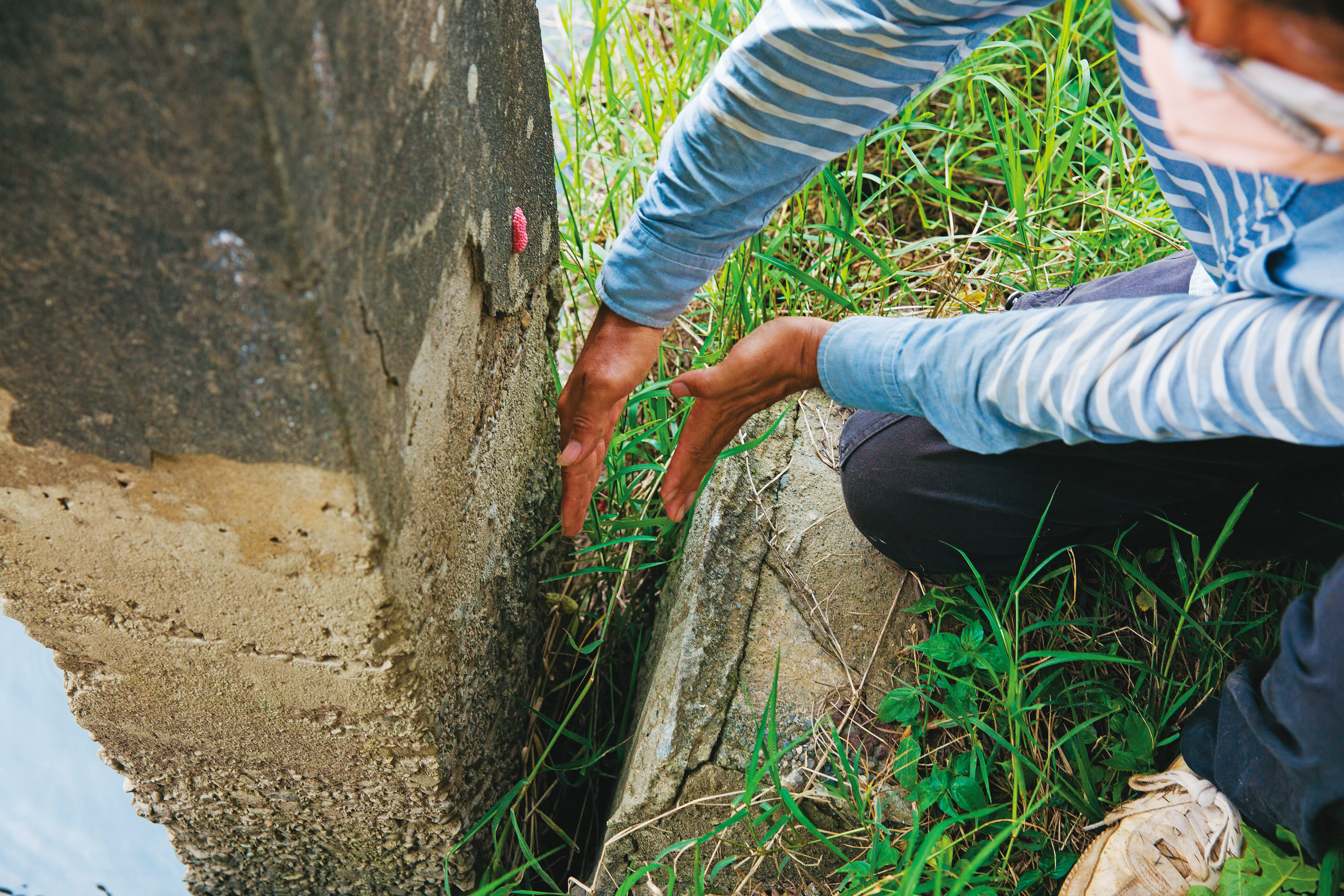 王順瑜指出，因黃順昱破壞水利設施，堤岸有崩塌之虞，裂痕清晰可見。