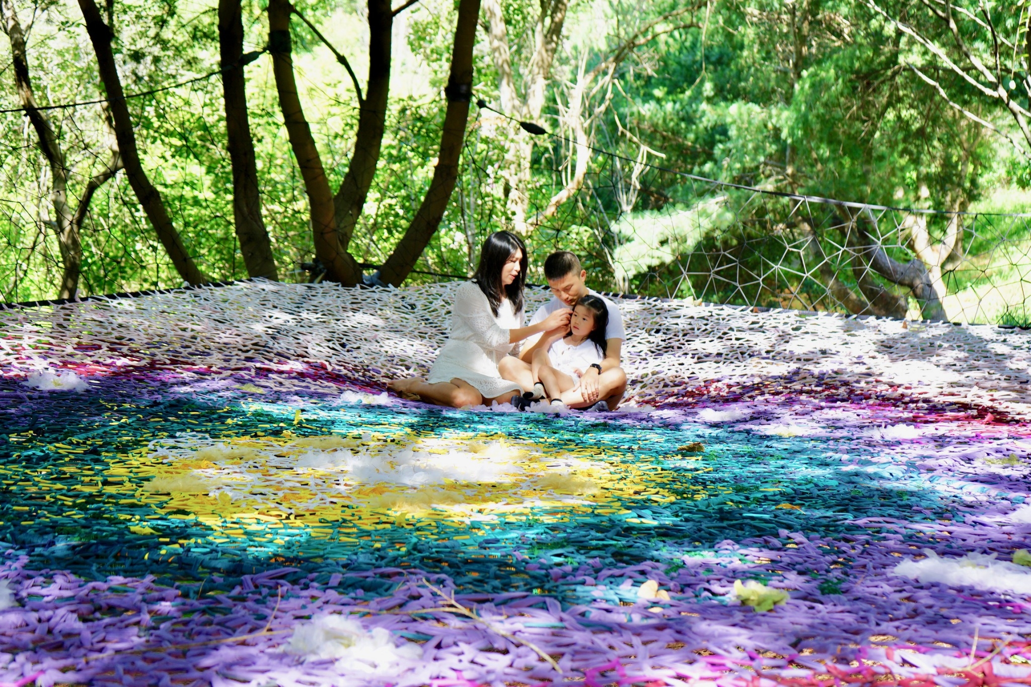 樹林間的藝術體驗「巢展」。