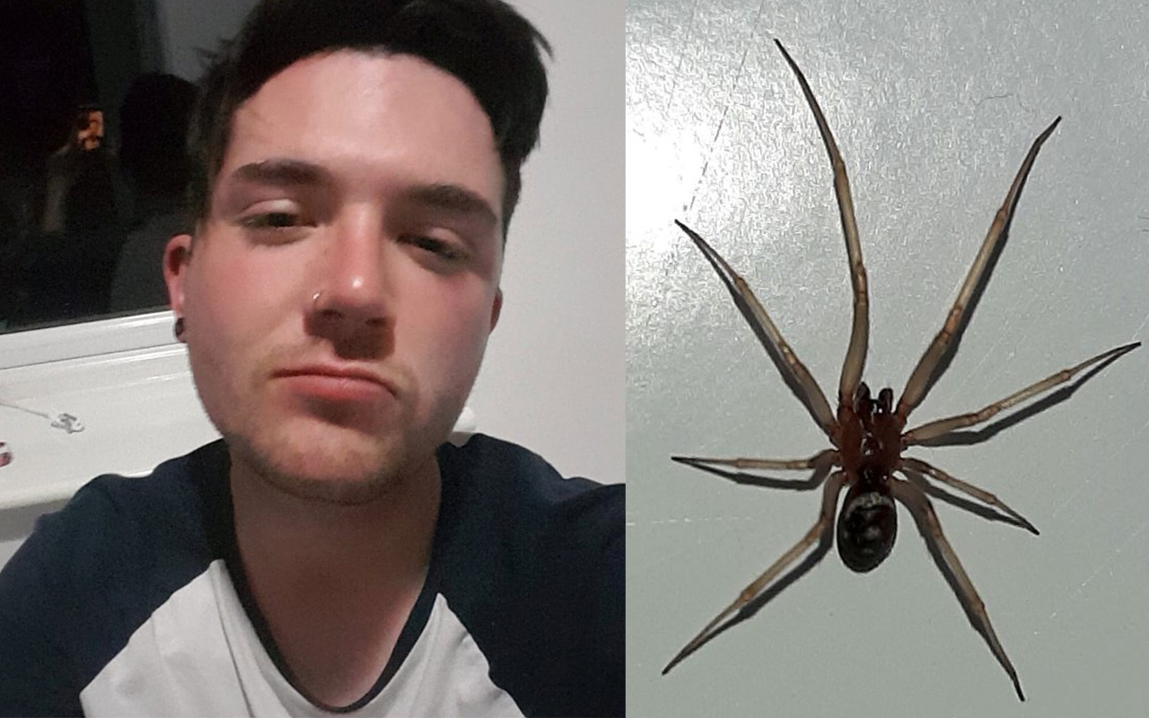 在自家遭蜘蛛咬傷的卡爾瓊斯。（翻攝《鏡報》Mirror News）