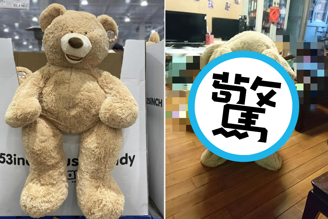 大熊難收納、不方便清洗,原PO一招解決2種困擾。(翻攝自臉書社團「Costco好市多 商品經驗老實說」)
