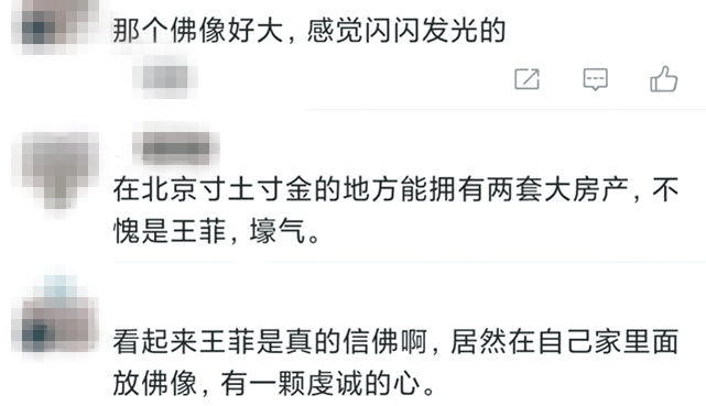 網友對於王菲的佛像議論紛紛,不但羨慕她買那麼貴的房子,也嘆她真的夠虔誠。(翻攝自微博)