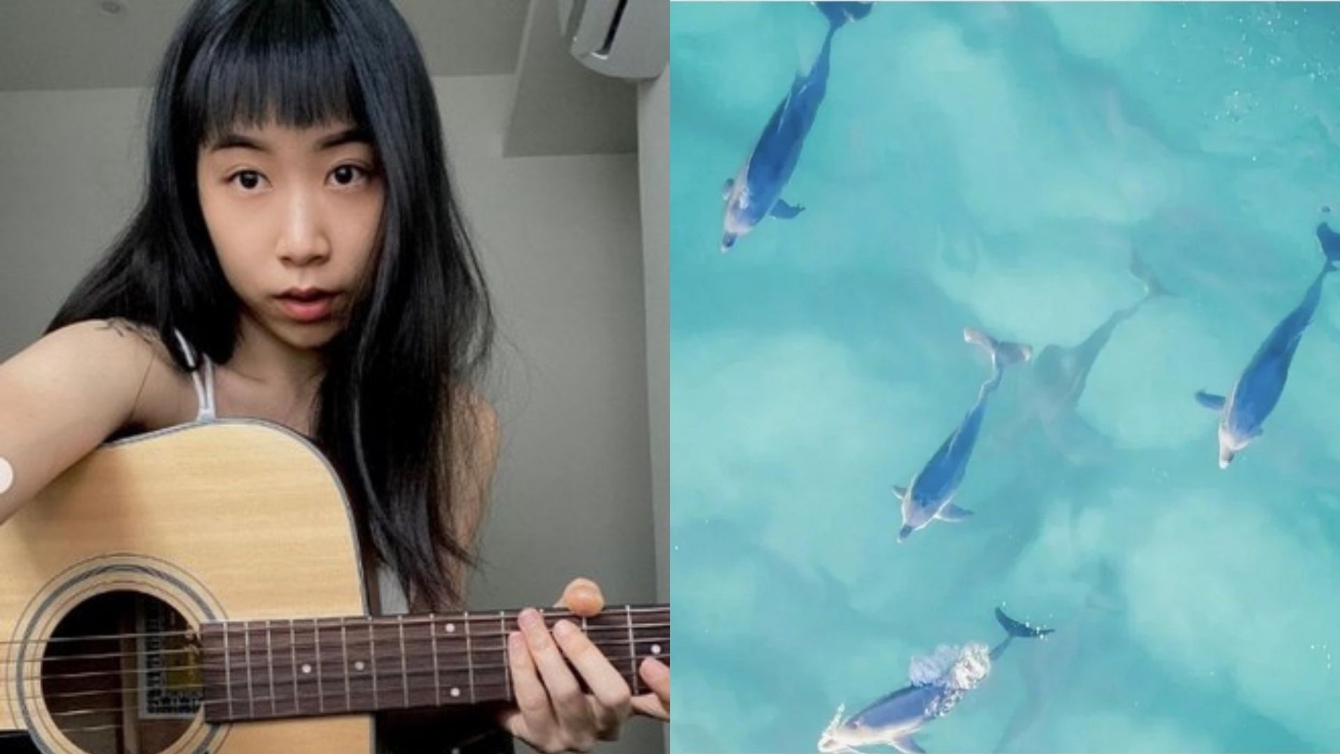 NanaQ販售的畫作遭網友發現是臨摹國外藝術家作品。(翻攝自NanaQ IG)