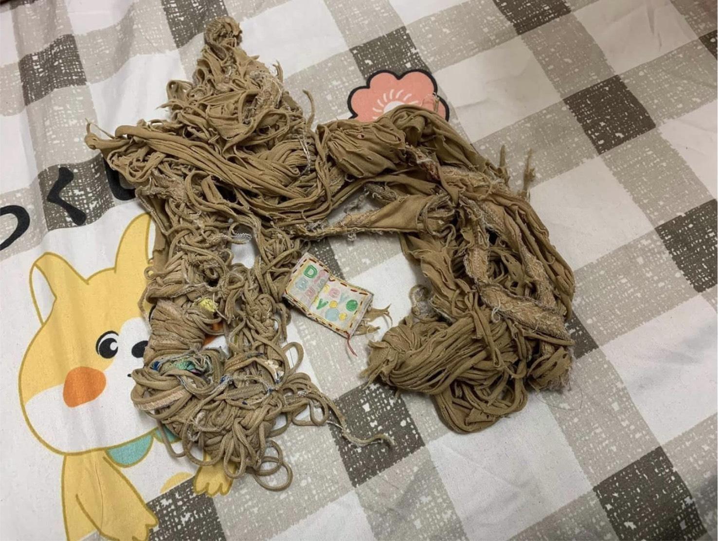 從外表完全看不出來原本是一條被子,不少網友還以為這是發霉的蕎麥麵。(翻攝自「爆廢公社」臉書)