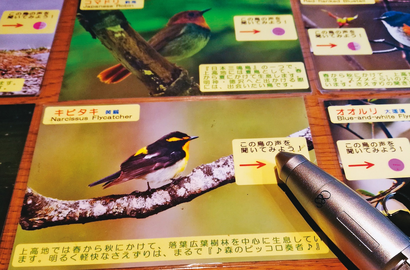 「上高地遊客中心」內遊客透過點讀筆，點選圖艦的鳥兒，即能聽到鳥鳴聲。