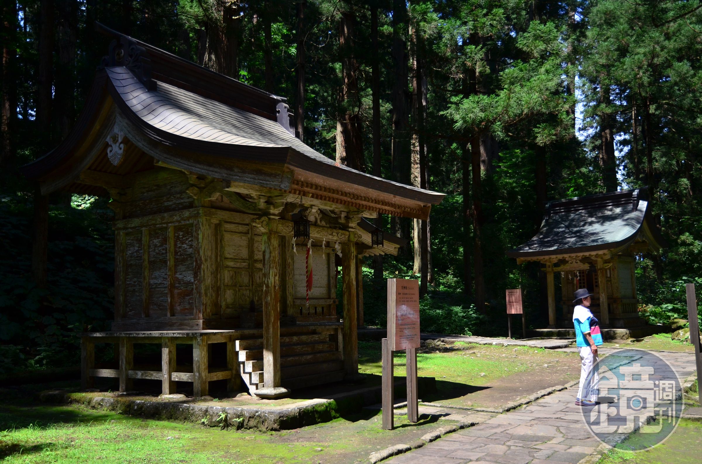 山林裡的神社引導我前往五重塔的所在地。